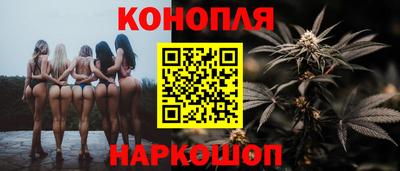 Альфа ПВП Бердск