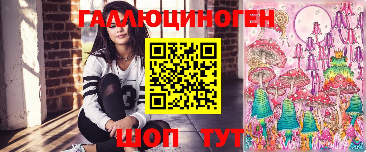 Псилоцибиновые грибы Magic Shrooms  Вход с VPN  Кисловодск  Псилоцибиновые грибы Psilocybe 